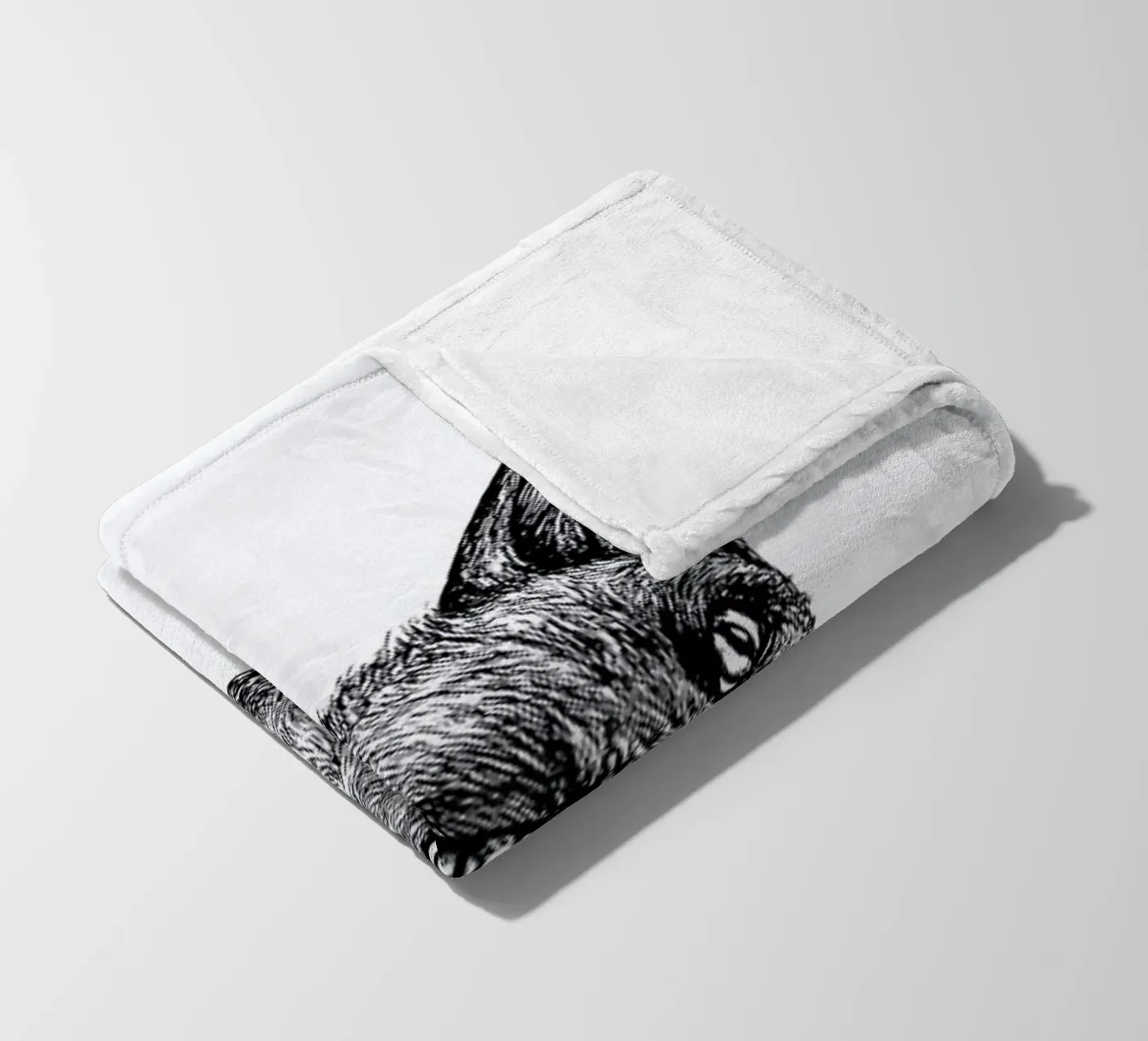 Celestial Fox coperta in pile da Daniela Roessler