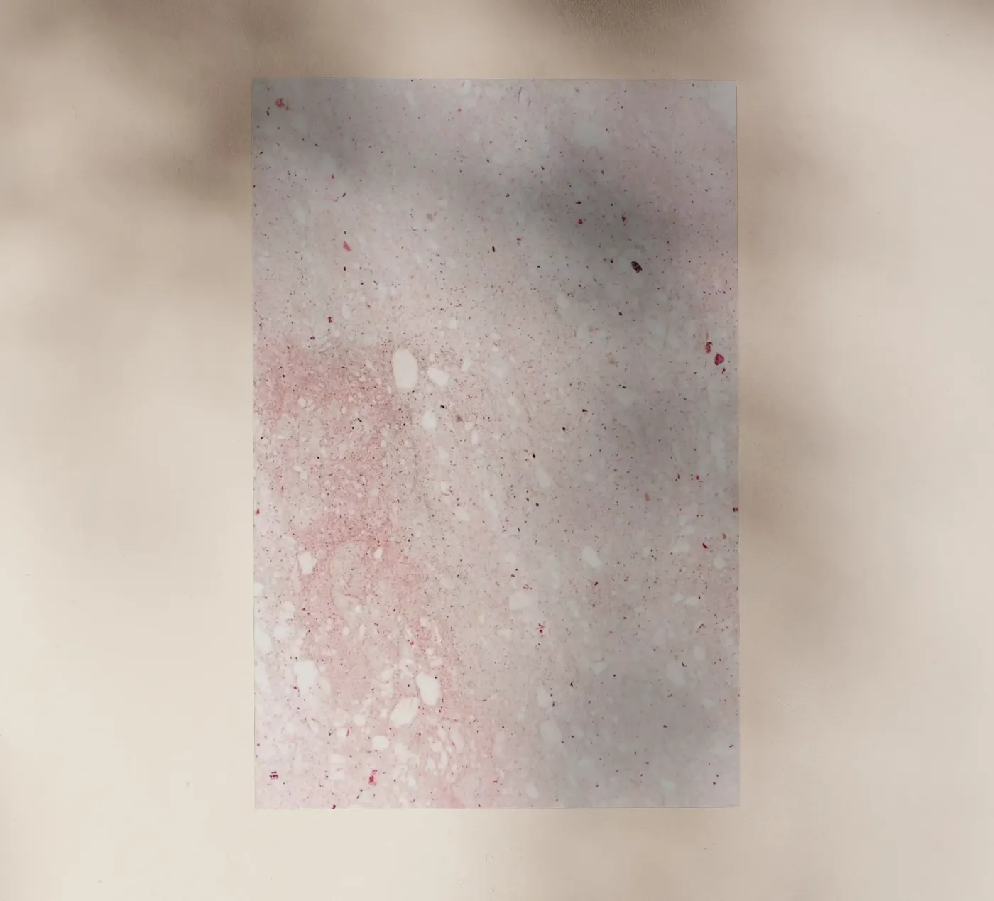 Mars backlit folie van Paul Aidan Perry