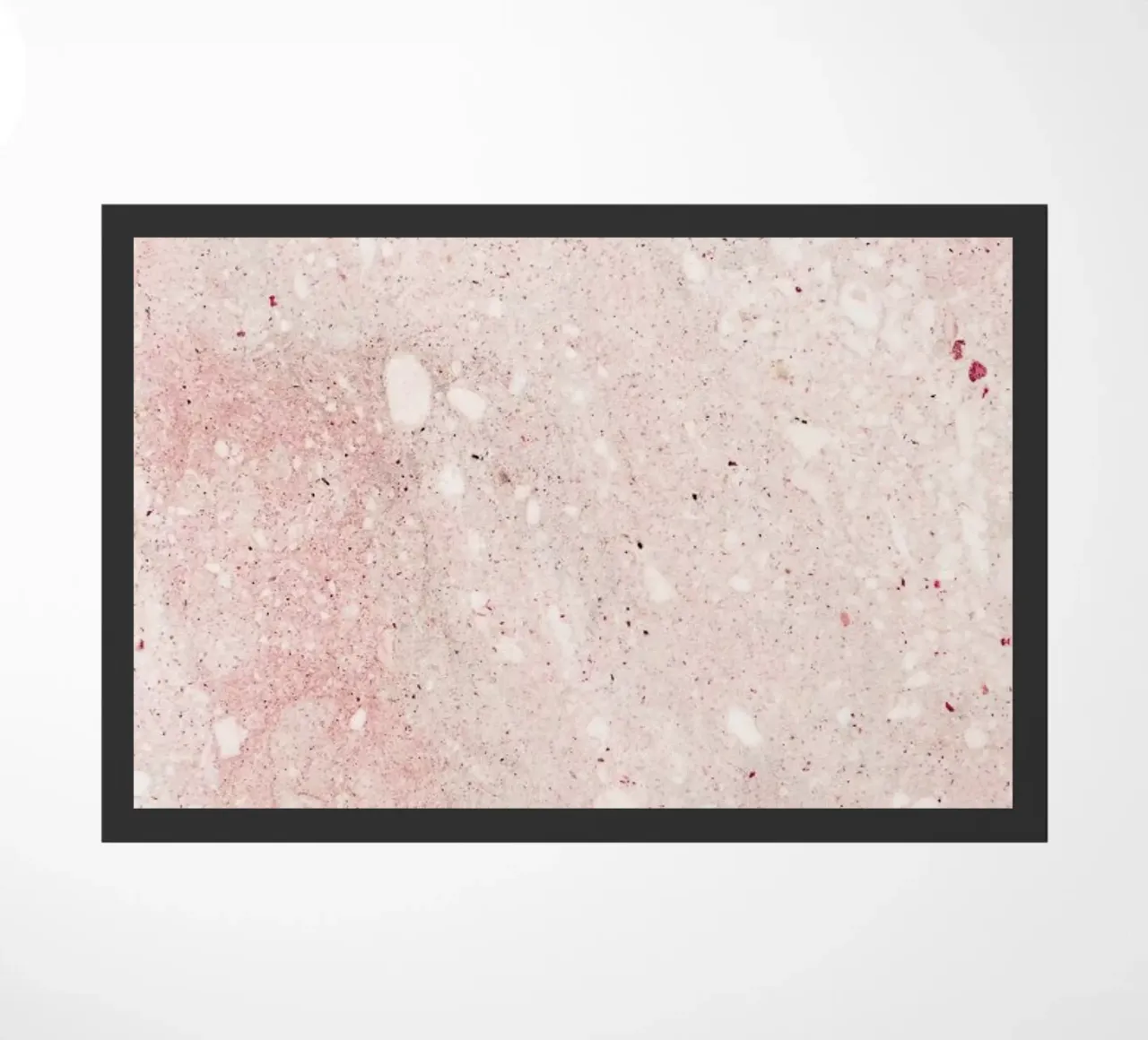 Mars zerbino da Paul Aidan Perry