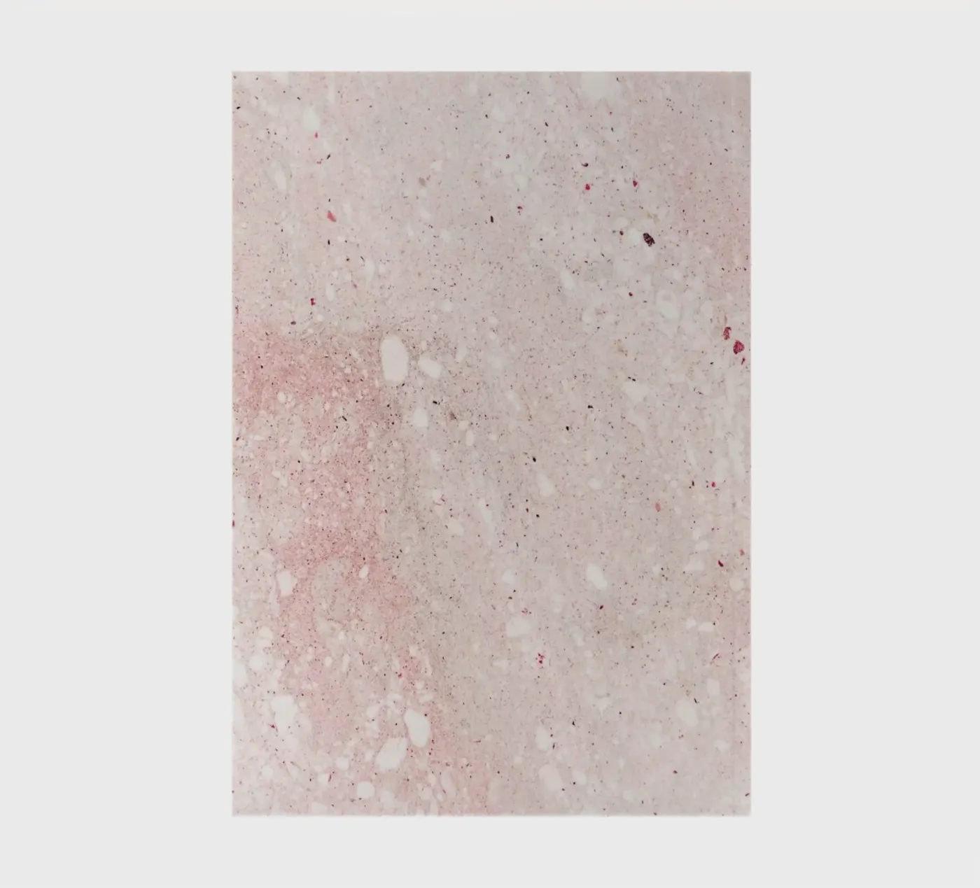 Mars quaderno da Paul Aidan Perry