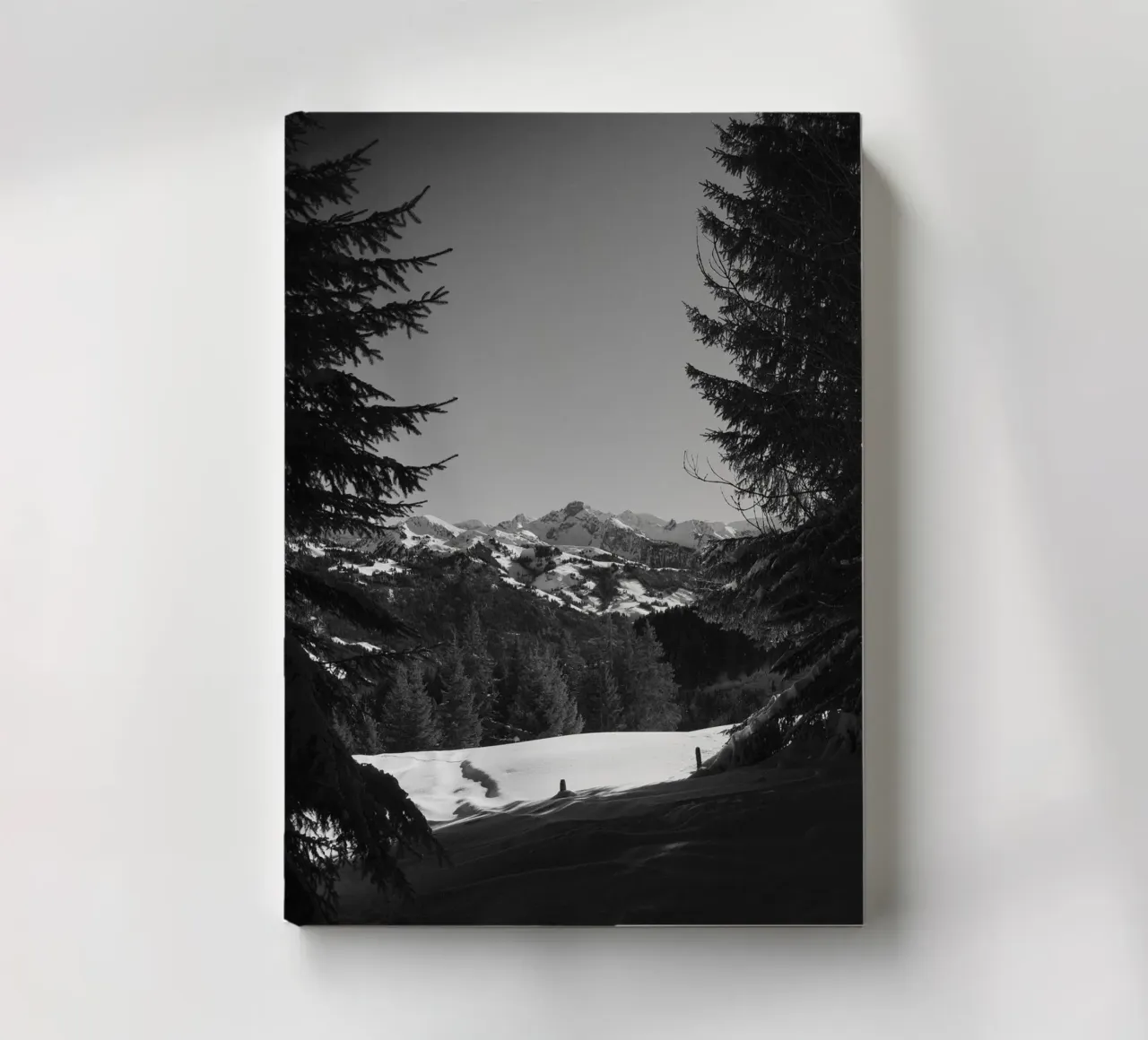 Alpine Monochrome Serenity notebook by FujiSwiss