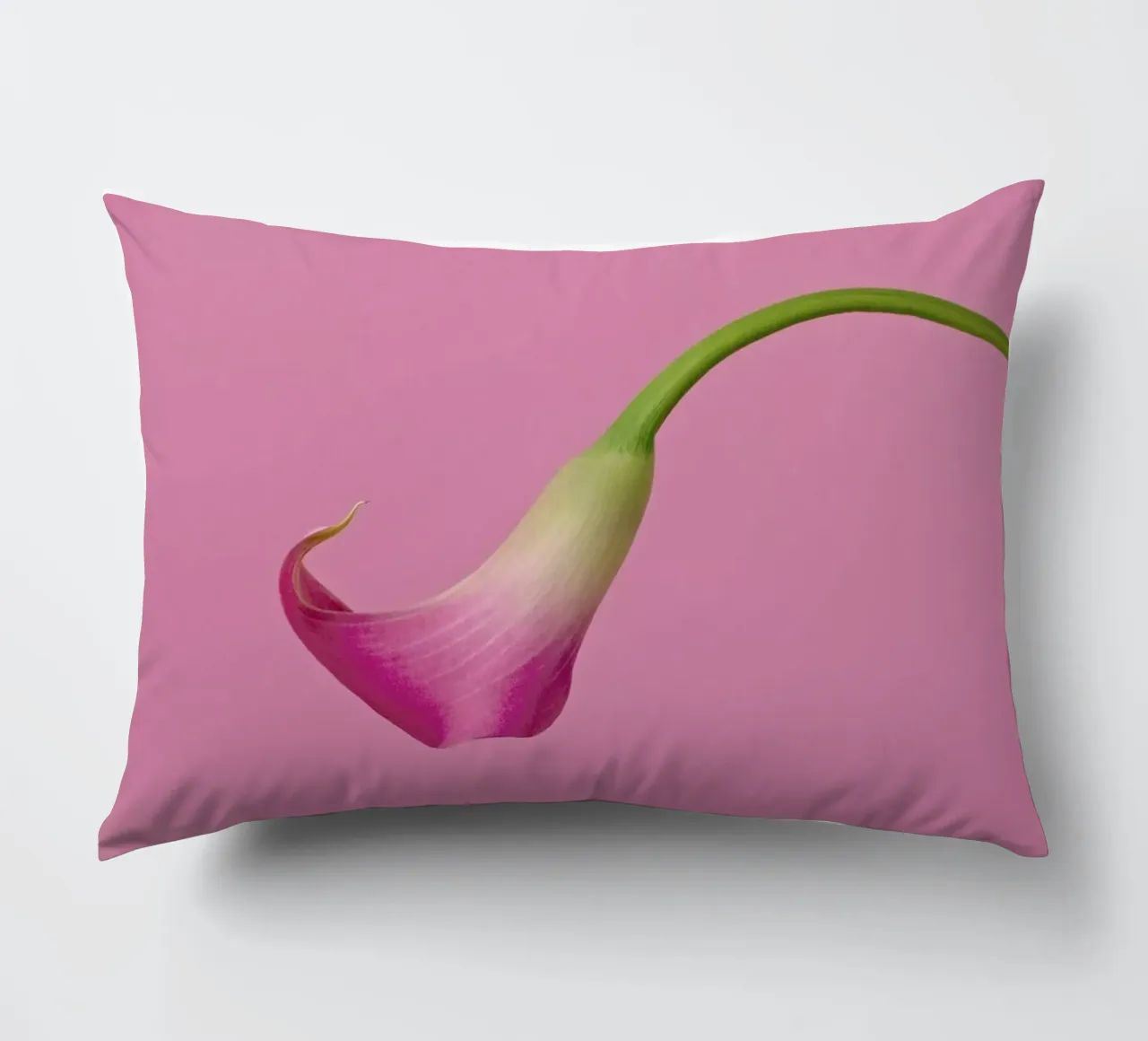 Pink cuscino da Juj Winn