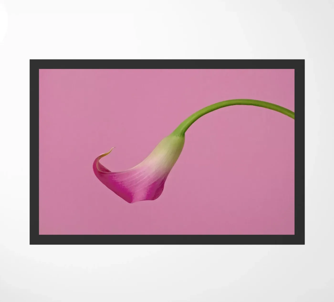 Pink doormat by Juj Winn