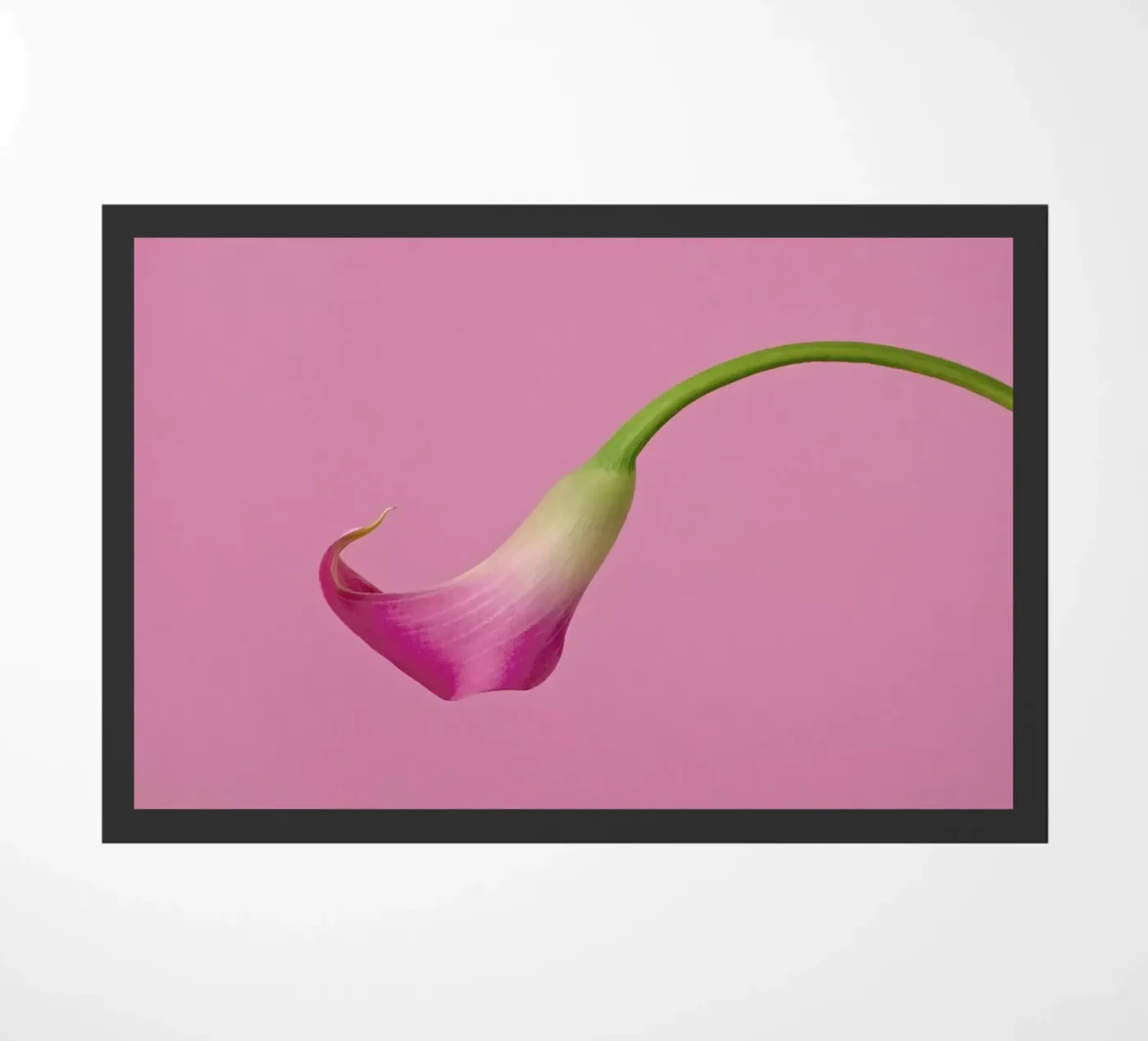 Pink paillasson de Juj Winn