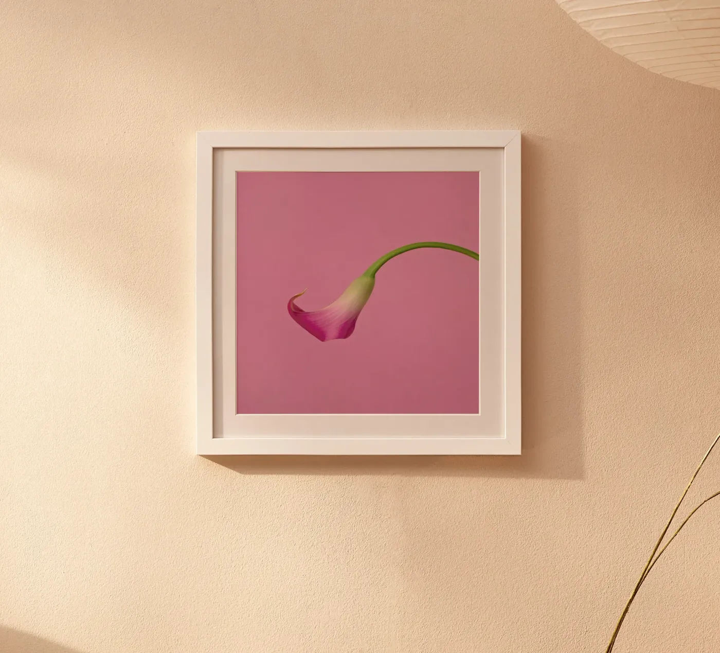 Pink Poster von Juj Winn