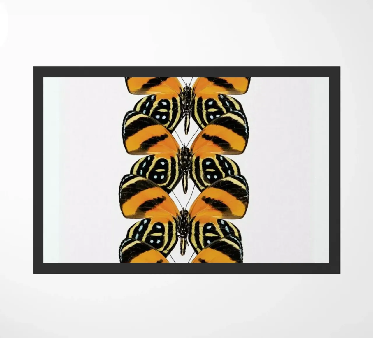 Butterfly zerbino da Curious Collections by Marielle Leenders