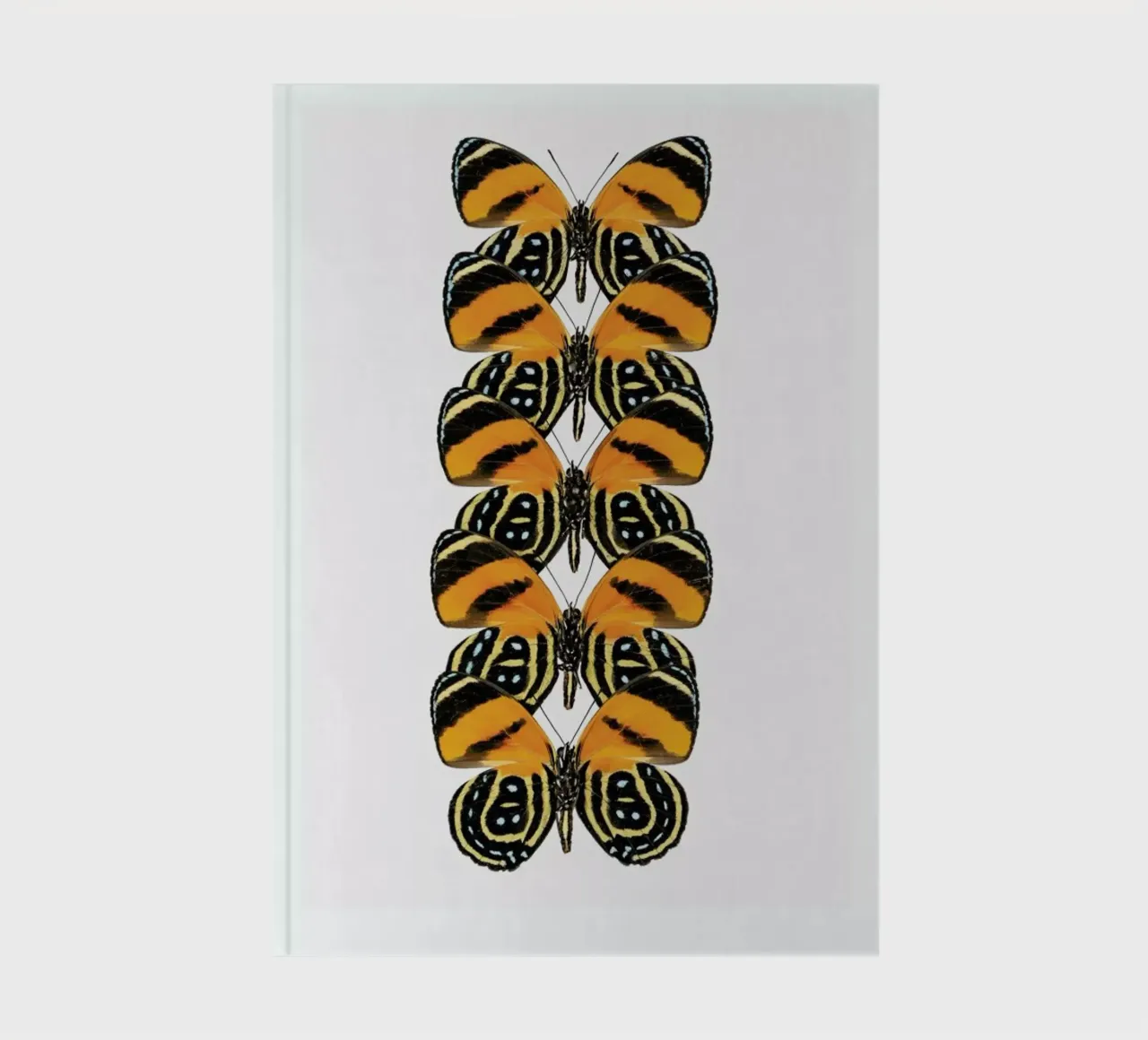 Butterfly Notizbuch von Curious Collections by Marielle Leenders