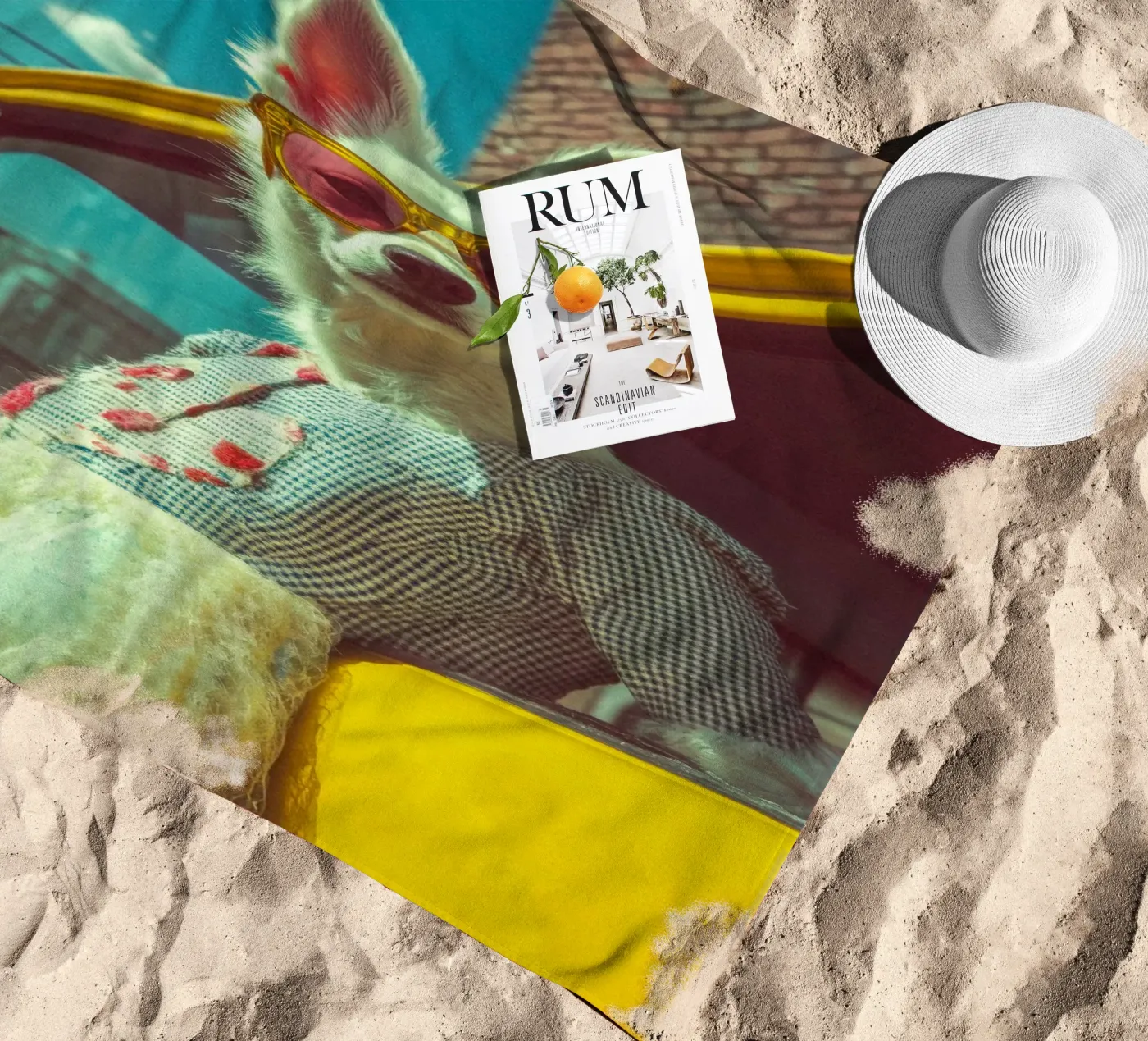 Bianca telo mare da Affiches Chien Originales – Dogland