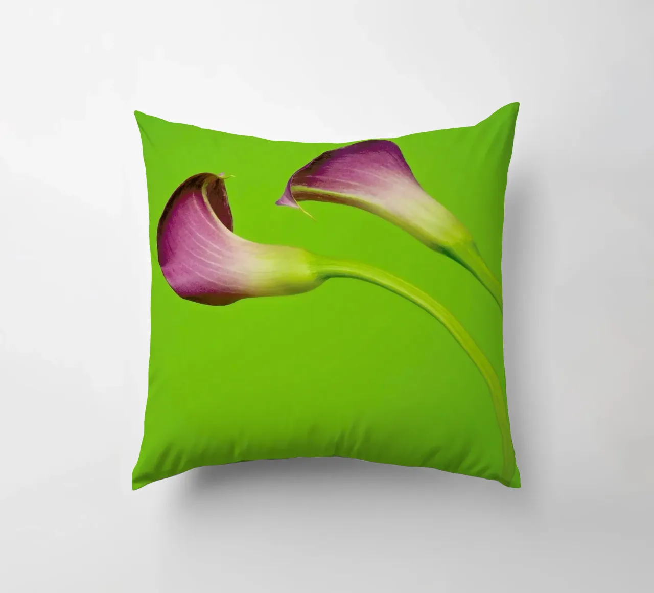 Two Are Better Than One decorative cushion by Juj Winn