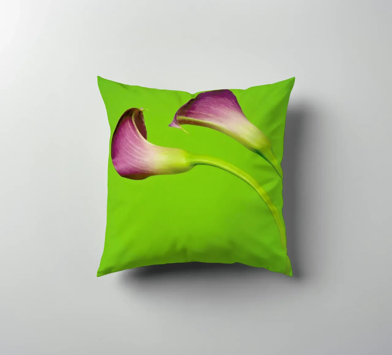 Two Are Better Than One decorative cushion by Juj Winn