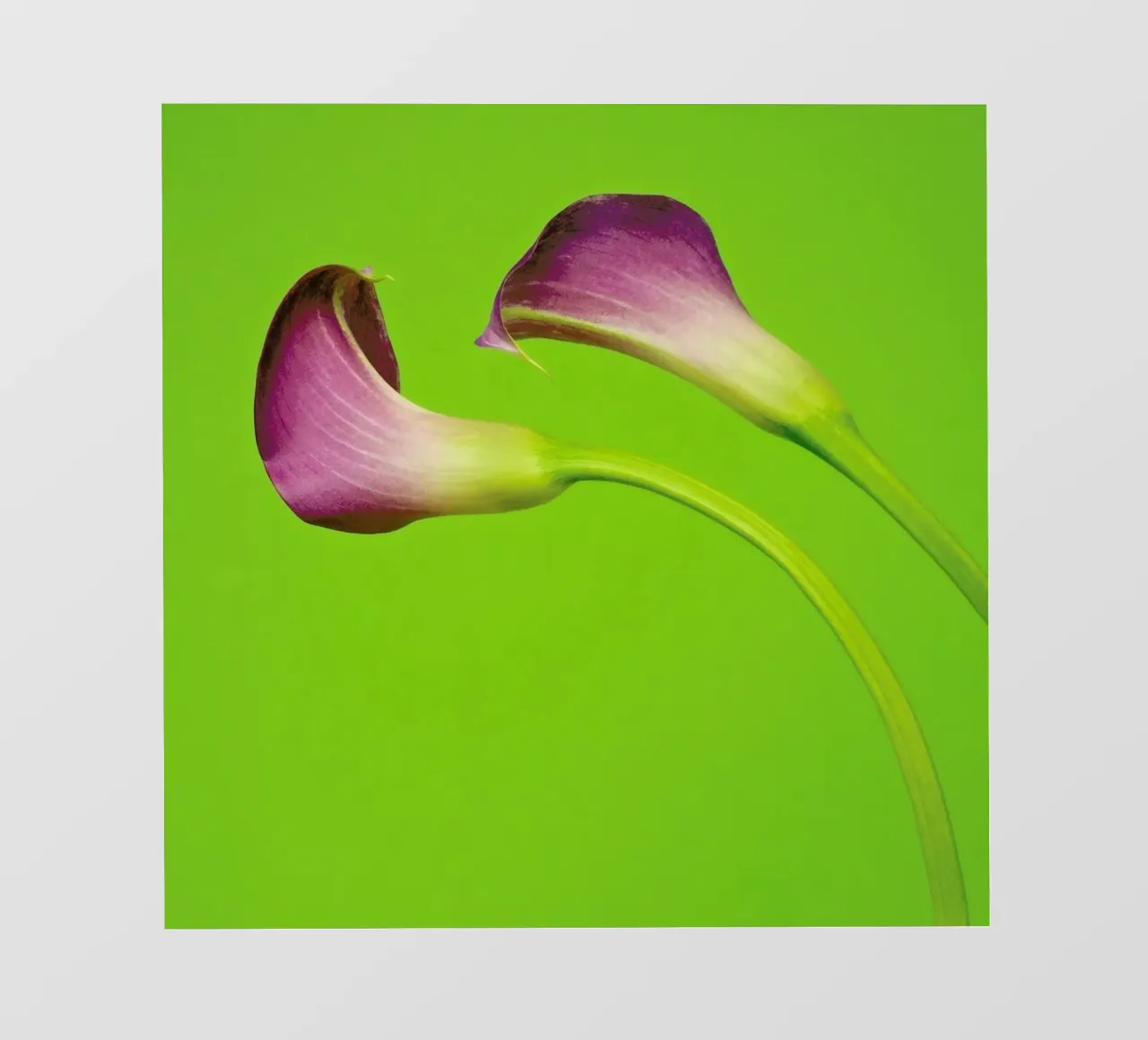 Two Are Better Than One pellicola backlit da Juj Winn