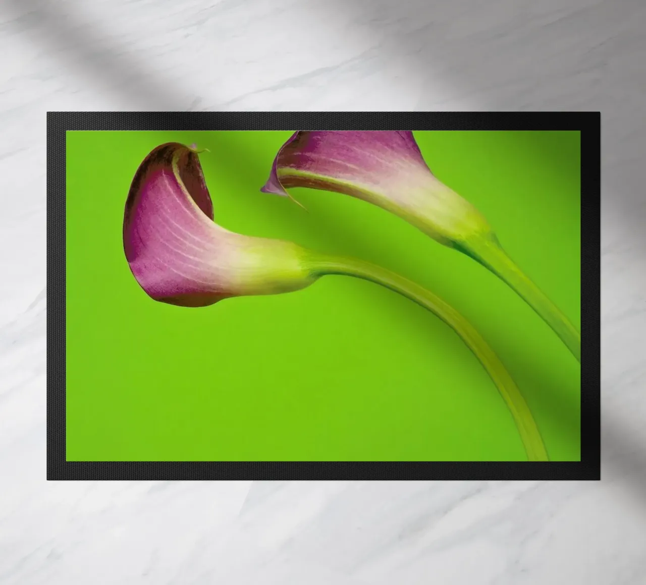 Two Are Better Than One zerbino da Juj Winn