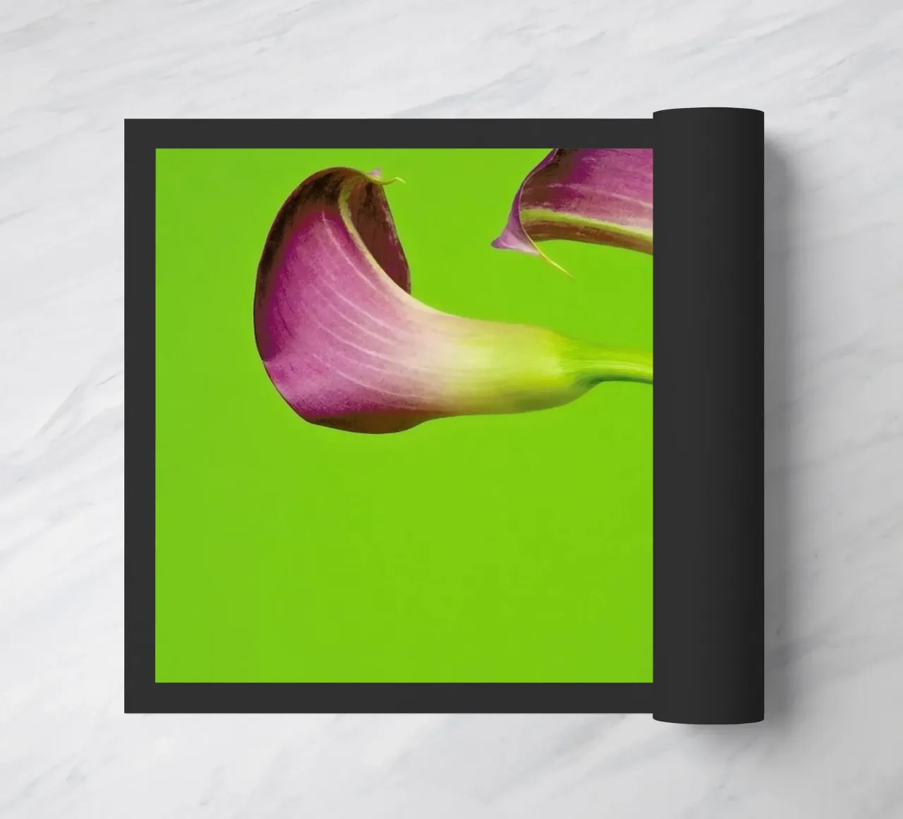 Two Are Better Than One zerbino da Juj Winn