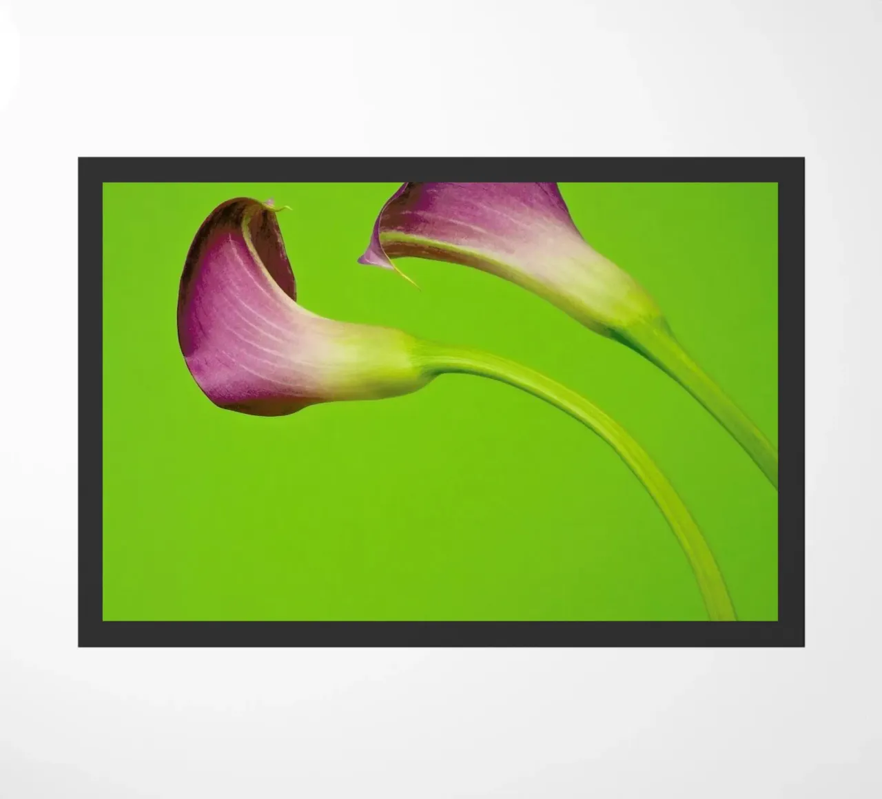 Two Are Better Than One zerbino da Juj Winn