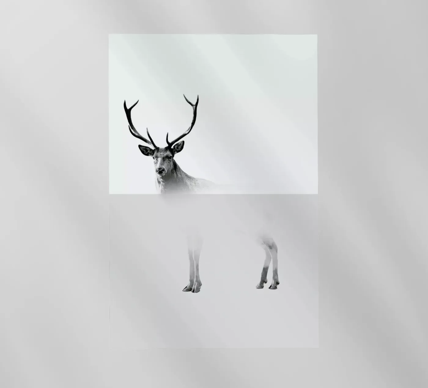 Deer Backlit Folie von The Wall Shop