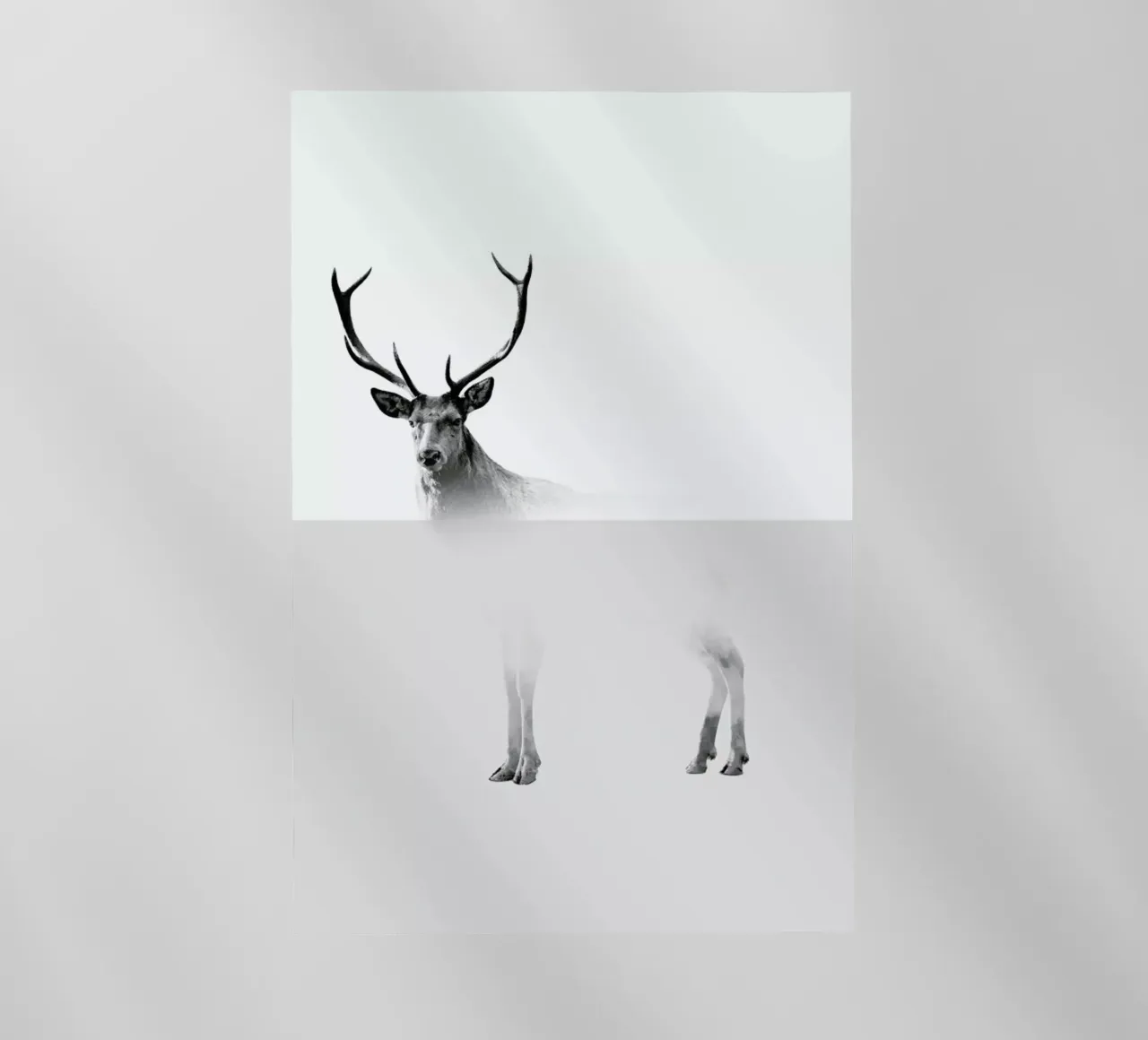 Deer pellicola backlit da The Wall Shop