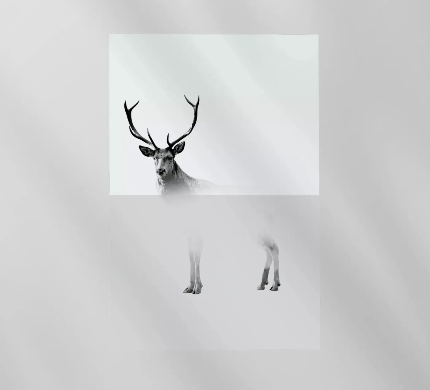 Deer pellicola backlit da The Wall Shop