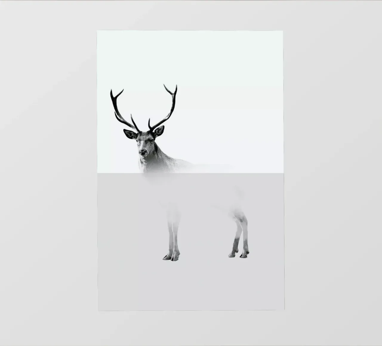 Deer pellicola backlit da The Wall Shop