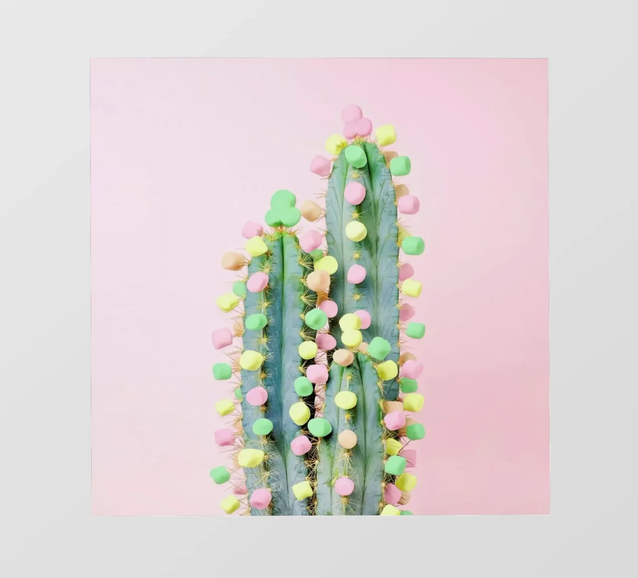 Marshmallow Cactus in Bloom telo in pvc da Juj Winn