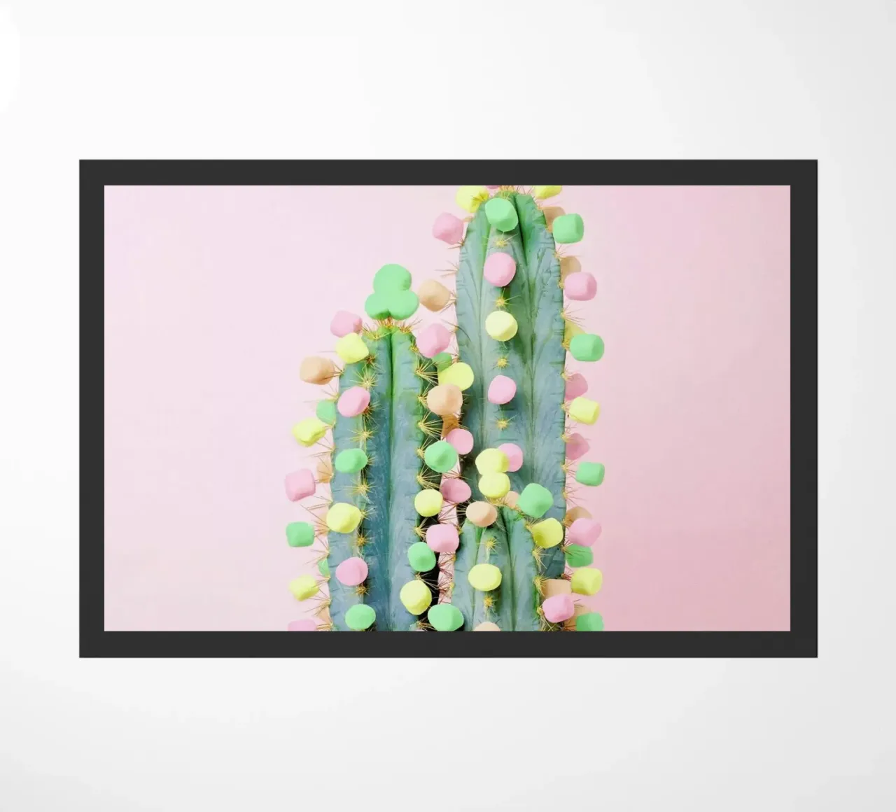 Marshmallow Cactus in Bloom zerbino da Juj Winn
