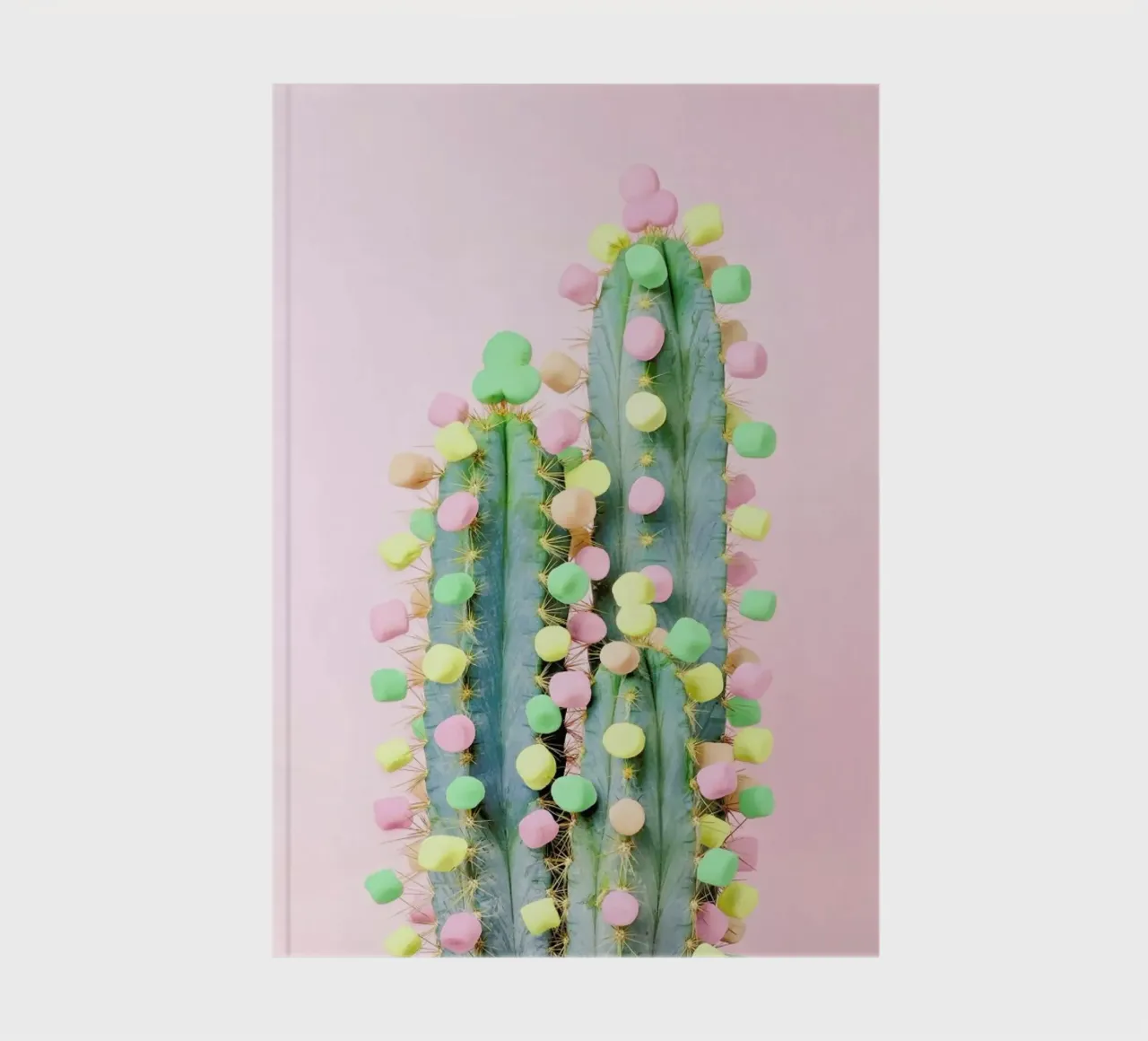 Marshmallow Cactus in Bloom diario da Juj Winn