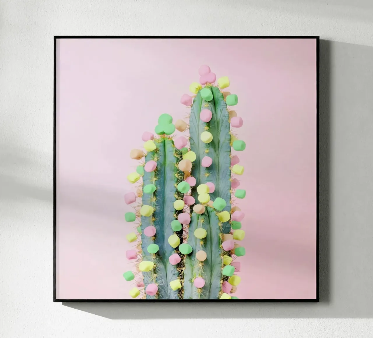 Marshmallow Cactus in Bloom acrylic glass by Juj Winn