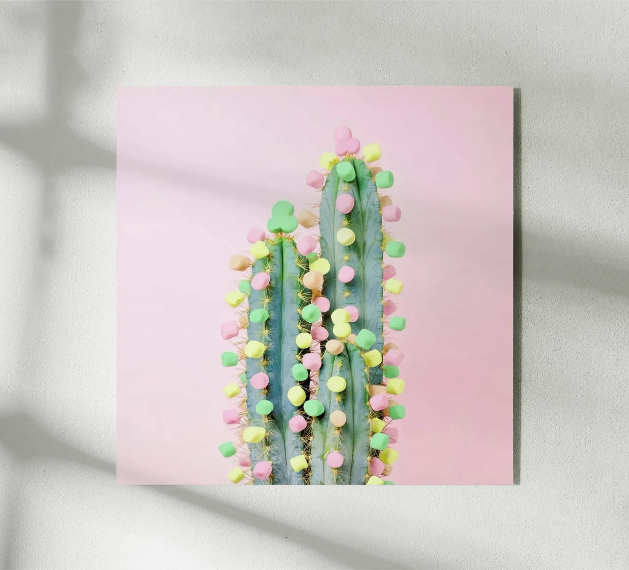Marshmallow Cactus in Bloom plexiglass da Juj Winn