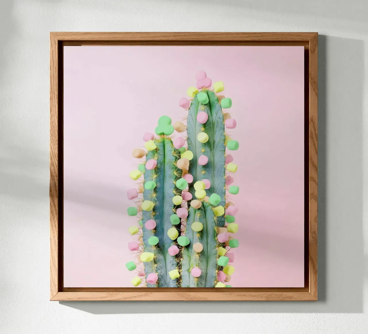 Marshmallow Cactus in Bloom alluminio dibond da Juj Winn