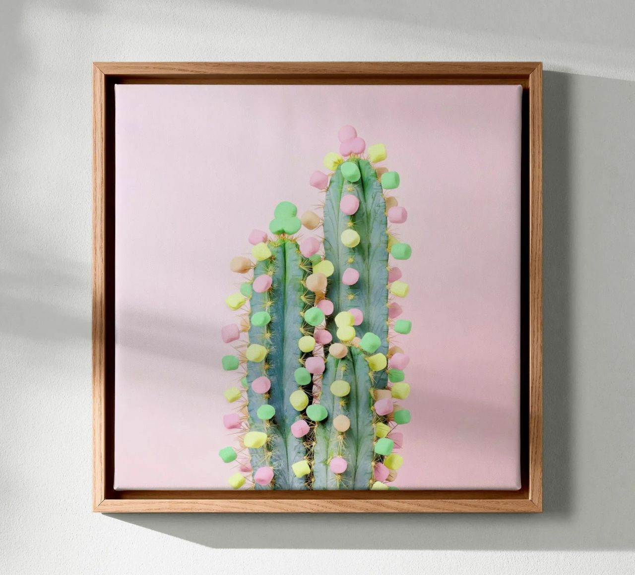 Marshmallow Cactus in Bloom Leinwand von Juj Winn