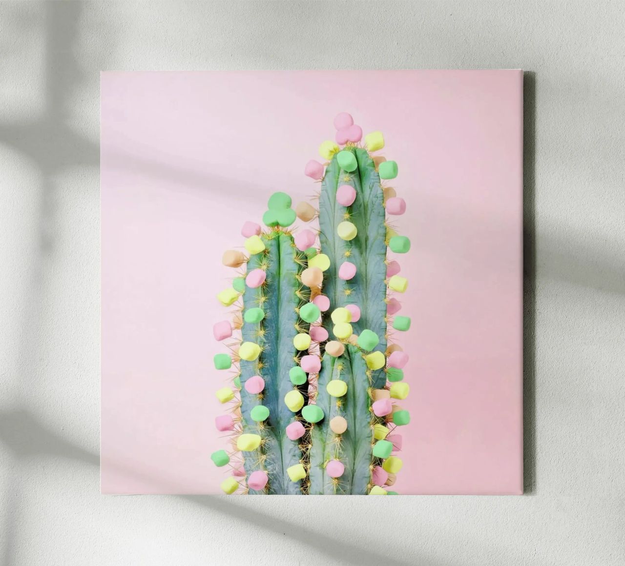 Marshmallow Cactus in Bloom Leinwand von Juj Winn