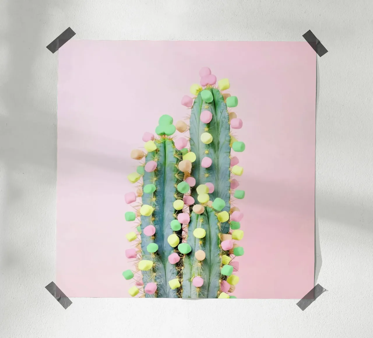 Marshmallow Cactus in Bloom carta hahnemühle da Juj Winn