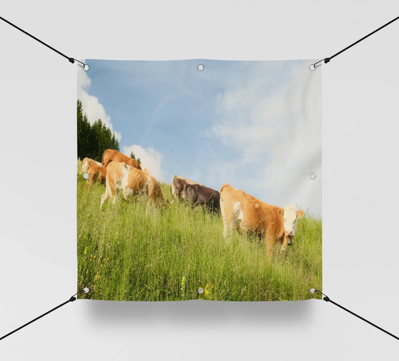 Tranquil Hillside Cows telo in pvc da FujiSwiss
