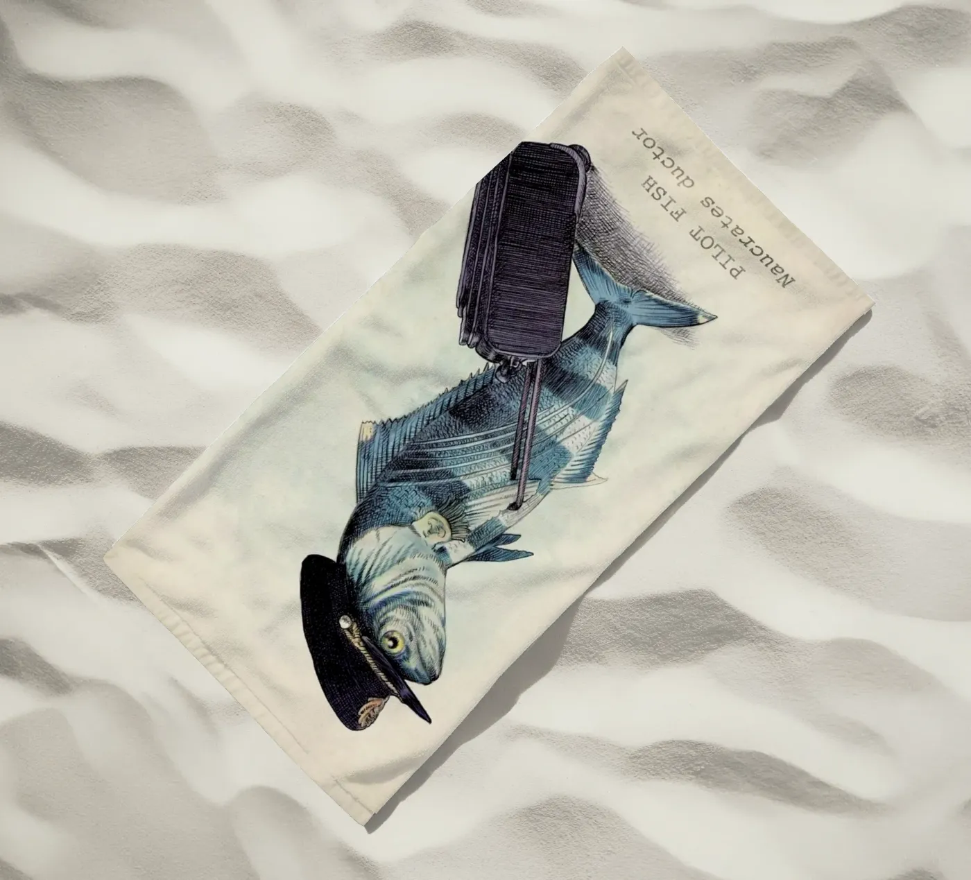 The Pilot telo mare da Eric Fan