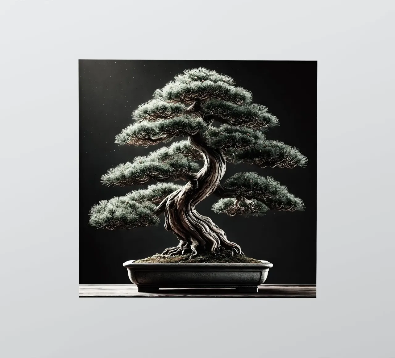 Pine bonsai - a symbol of stability and tranquillity sticker by scHio