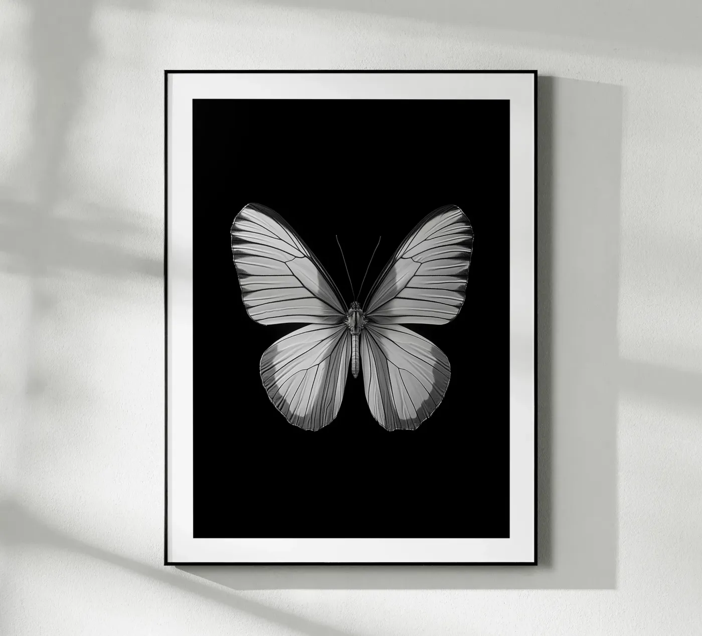 Papillon monochrome plexiglass da Monochrome