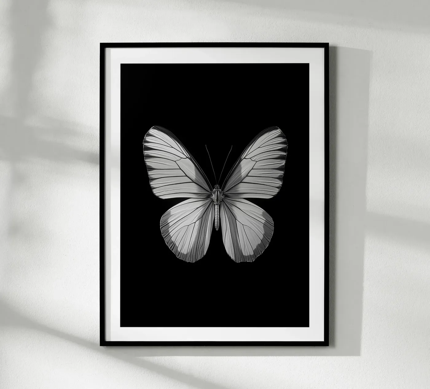 Papillon einfarbig Poster von Monochrome