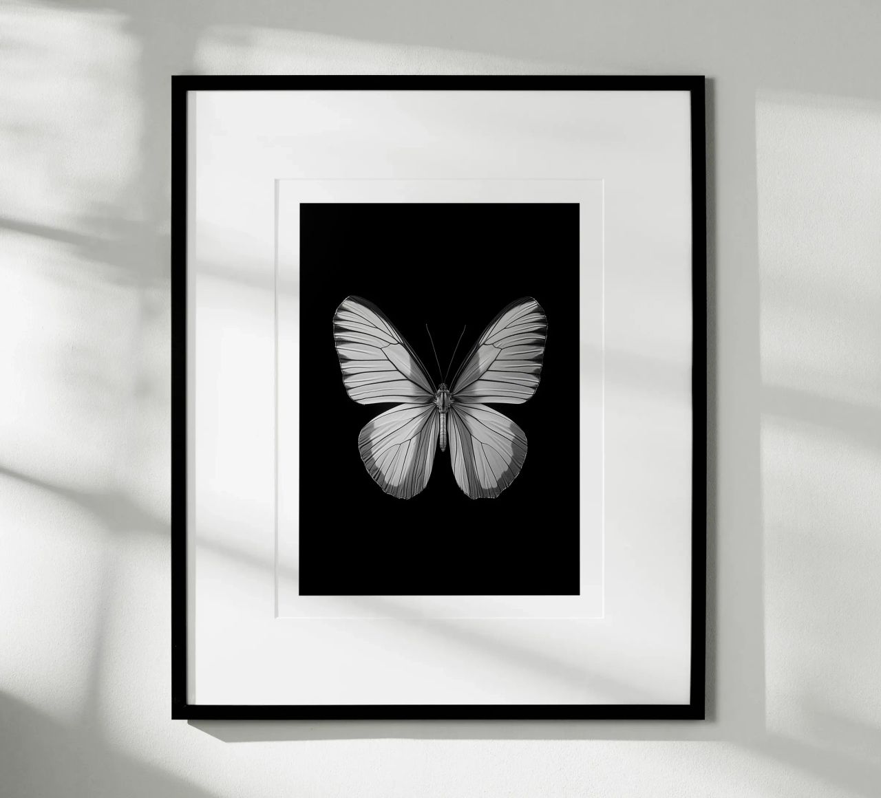 Papillon einfarbig Poster von Monochrome
