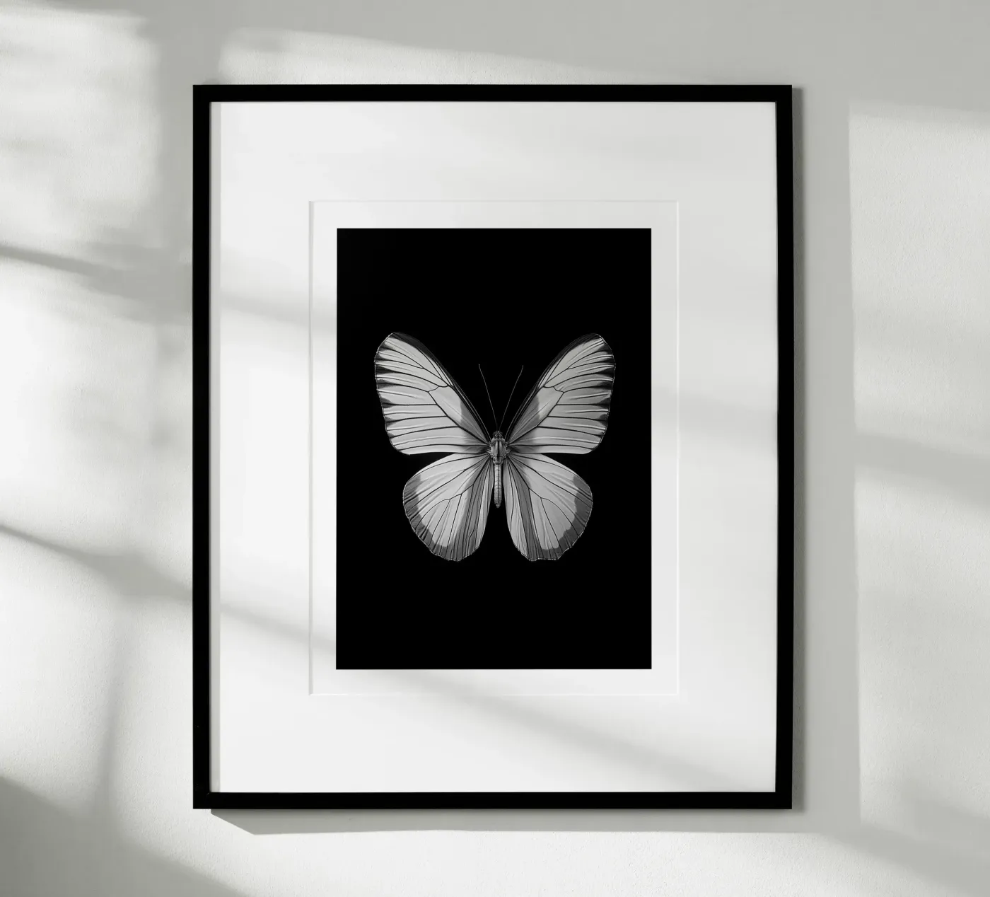 Papillon einfarbig Poster von Monochrome
