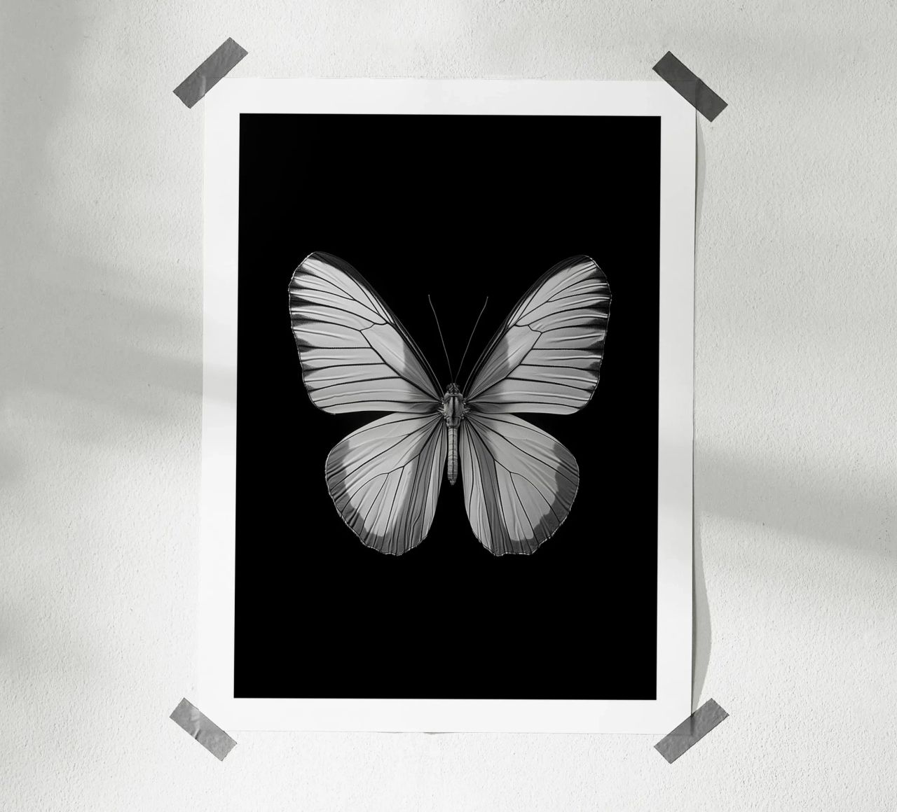 Papillon einfarbig Poster von Monochrome