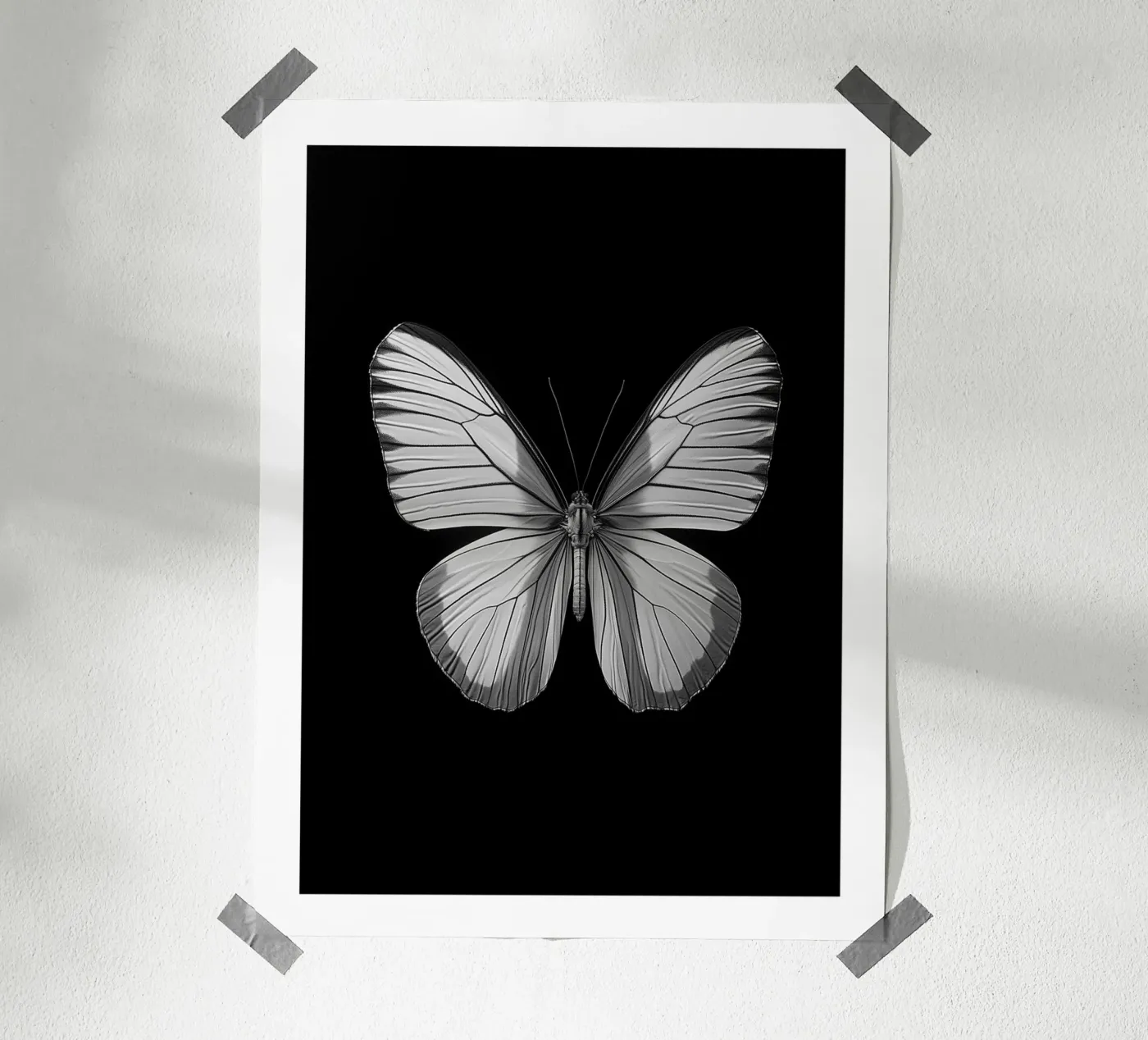 Papillon einfarbig Poster von Monochrome