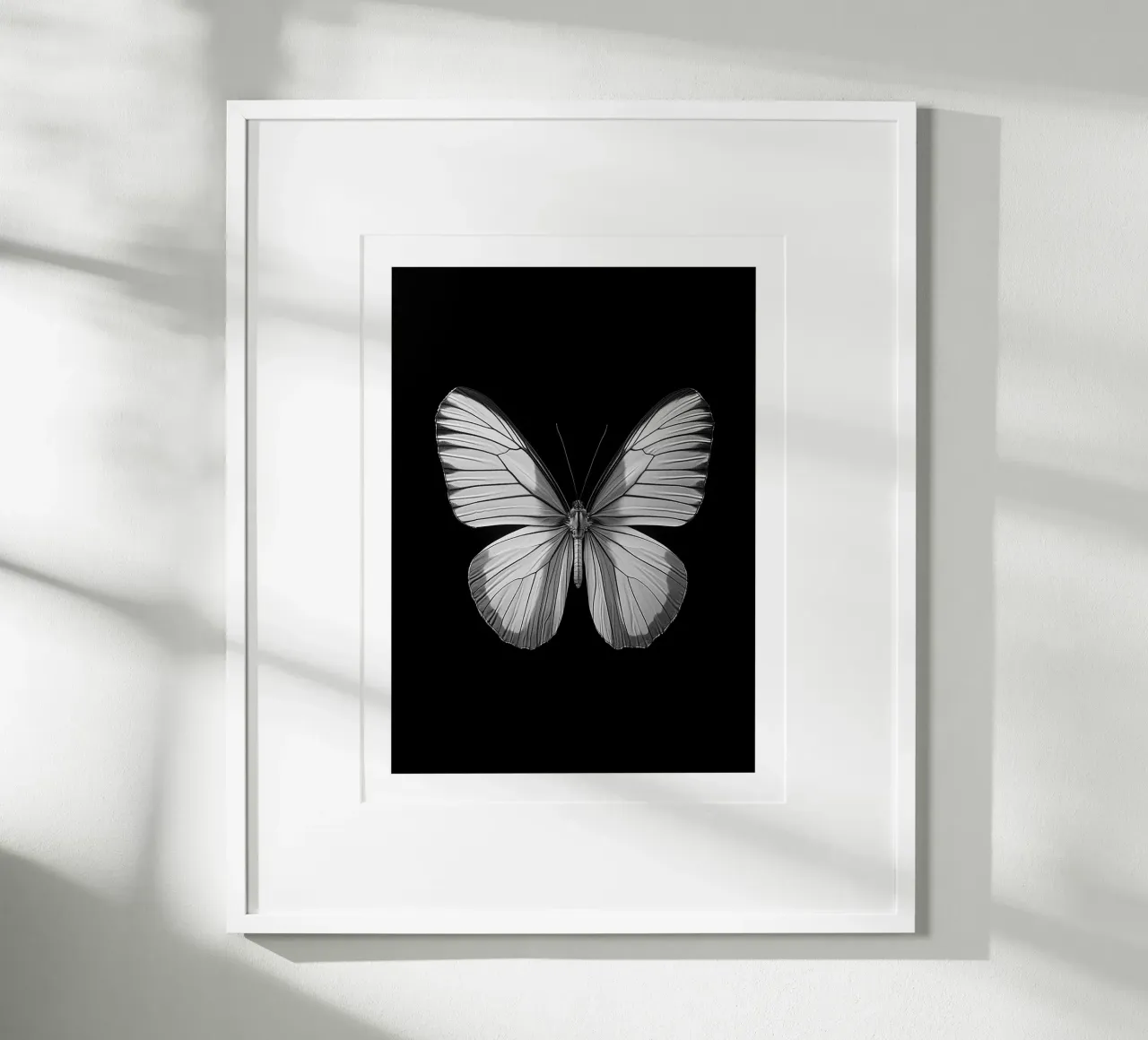 Papillon monocromatico poster da Monochrome