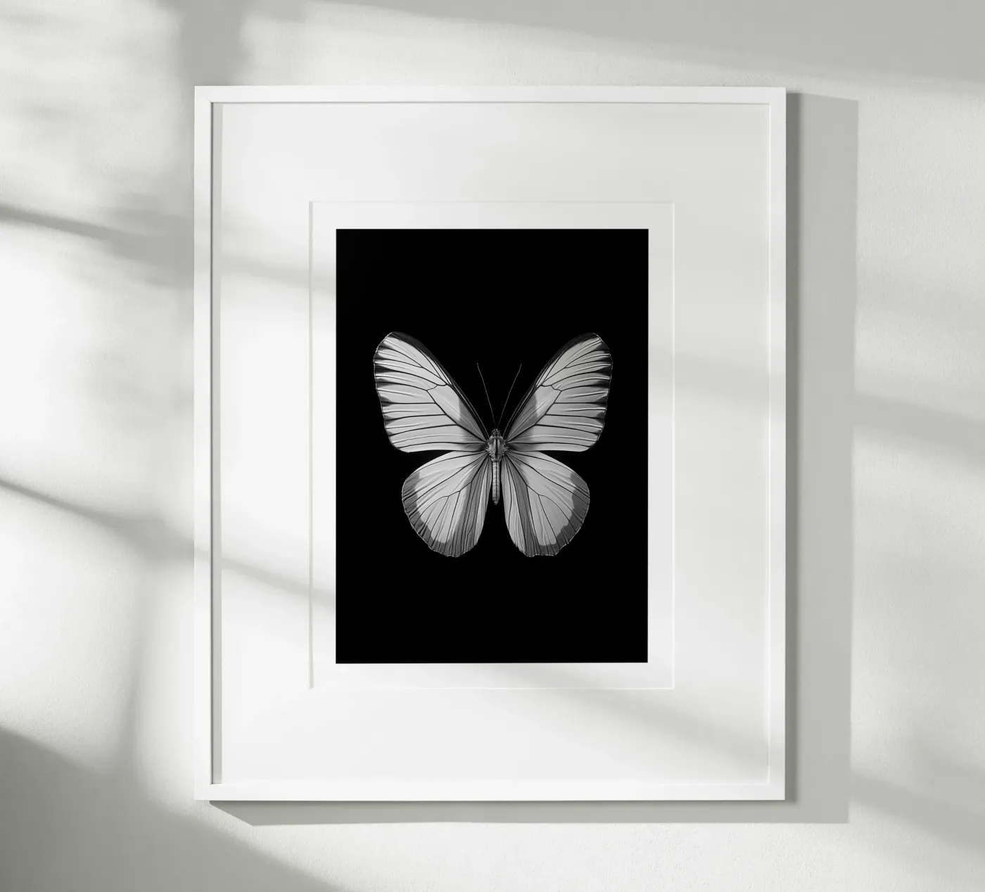 Papillon einfarbig Poster von Monochrome