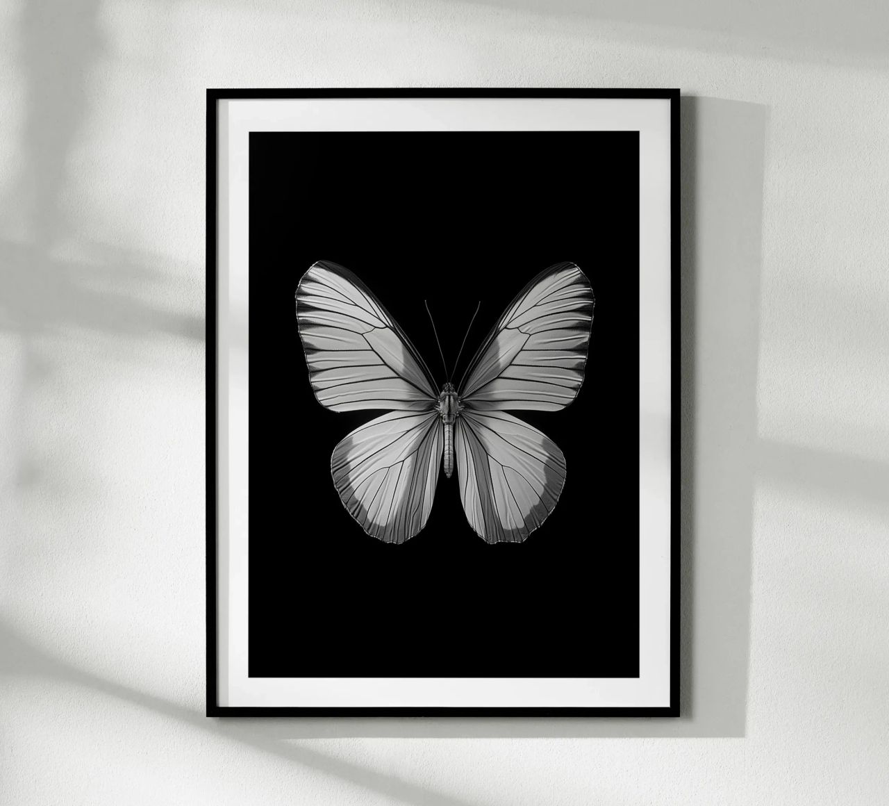 Papillon einfarbig Poster von Monochrome