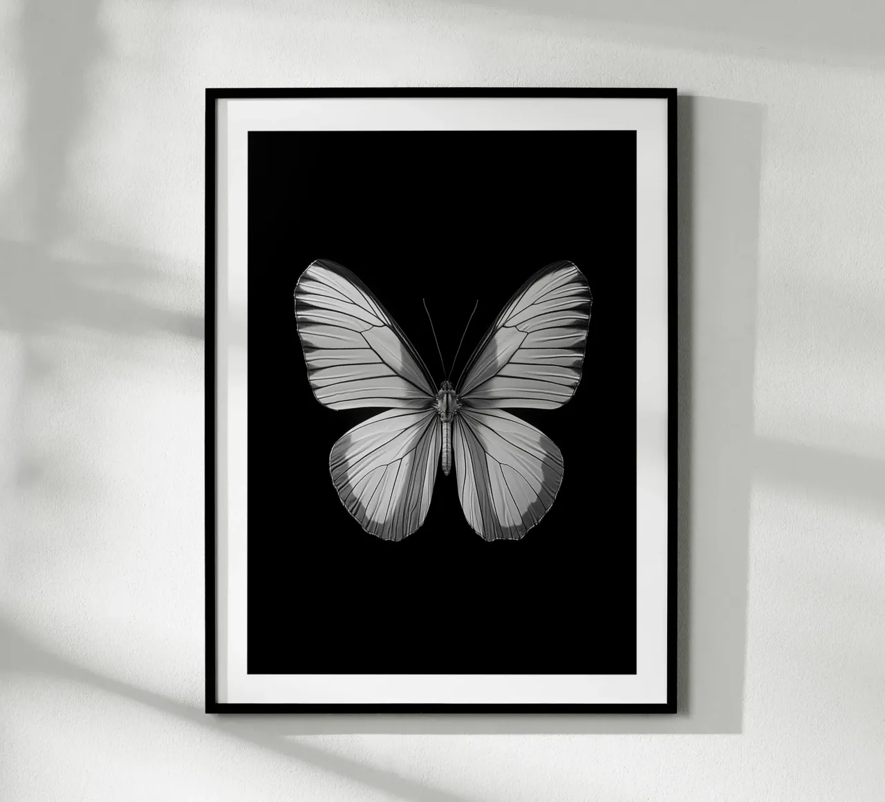 Papillon monocromatico poster da Monochrome