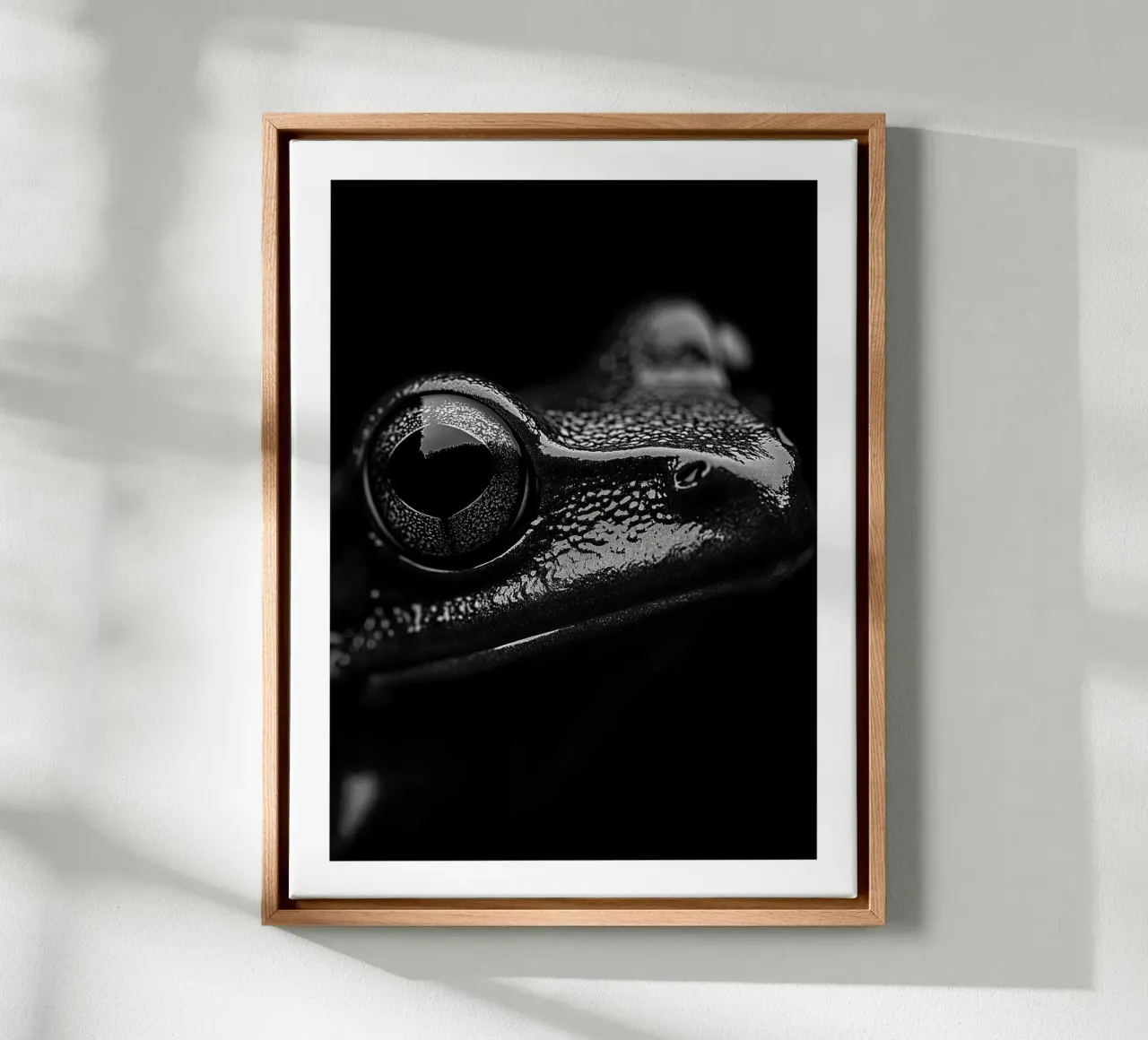 Frog on black background canvas with Floater frame by Monochrome