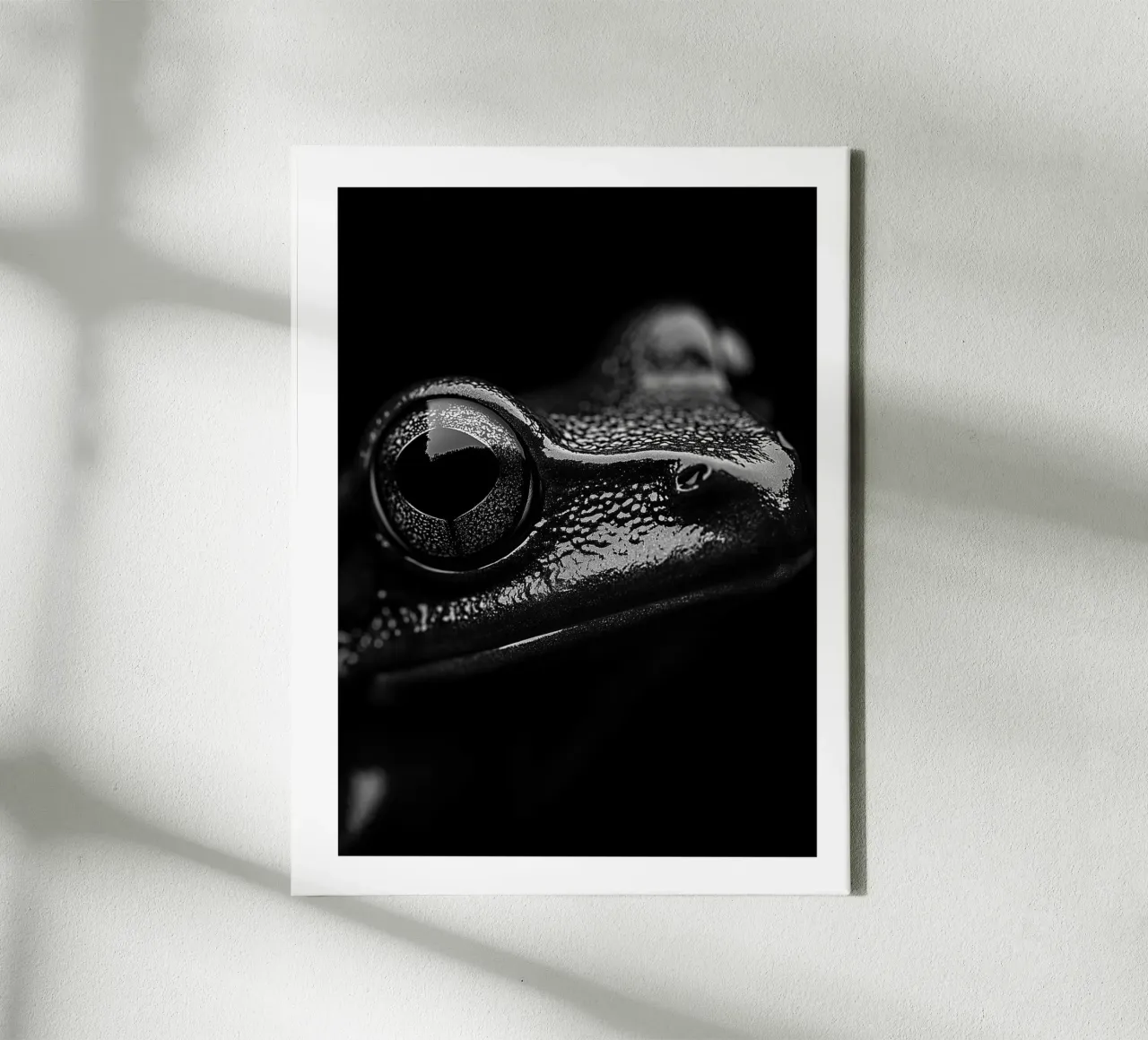Frog on black background canvas with Floater frame by Monochrome