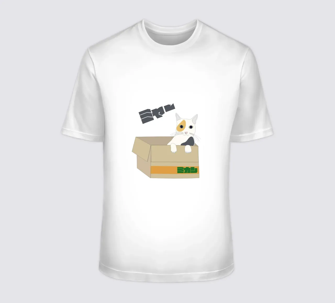 gatto nella scatola t-shirt da natural neutral