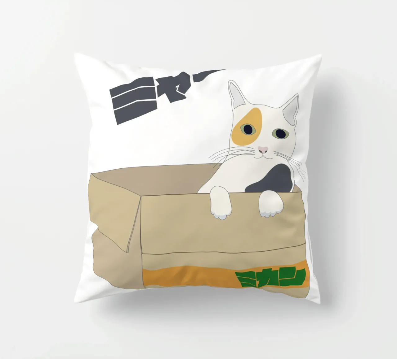 gatto nella scatola cuscino da natural neutral