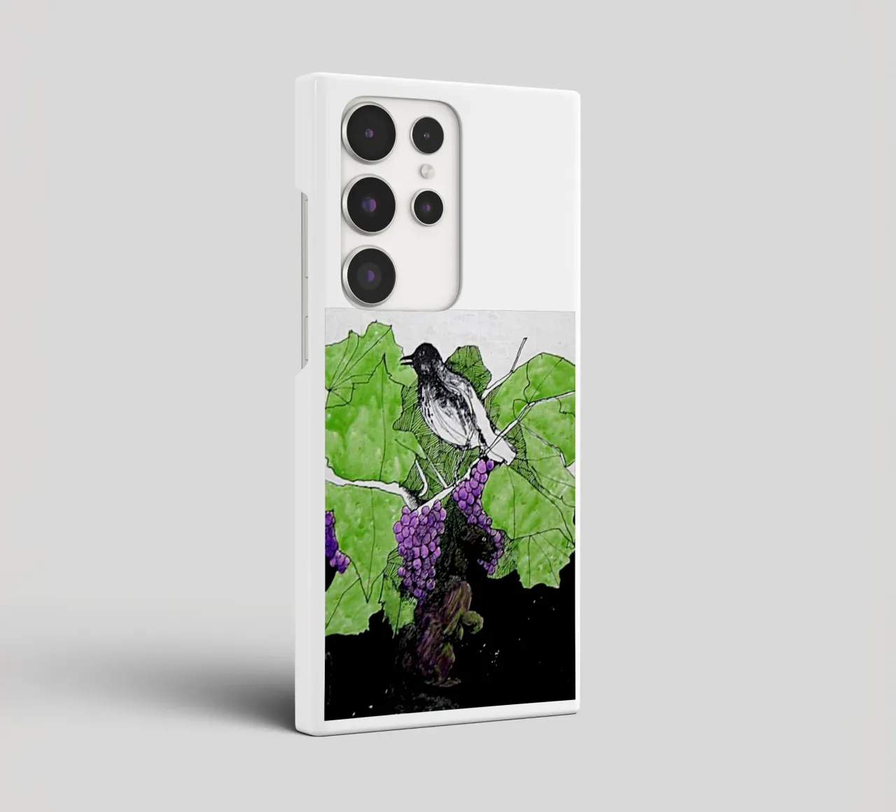 Bird perches on a branch with grapes cover samsung da edsonramosart