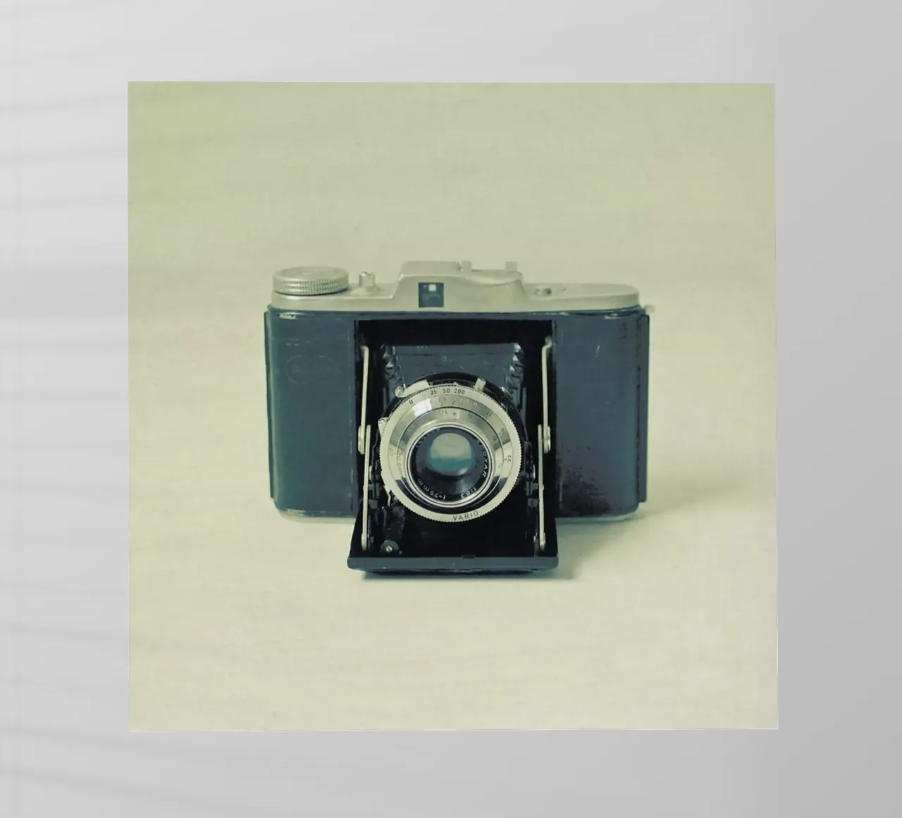 Catturato pellicola backlit da Cassia Beck Photography